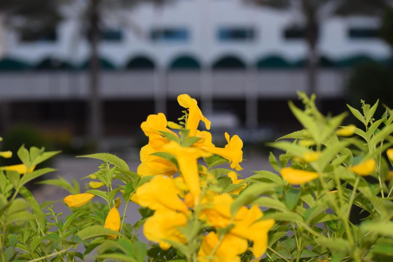 Hotel Summersands As-Sib Zewnętrze zdjęcie